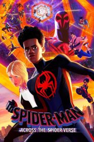 Spider-Man: Across the Spider-Verse (2023) HDRips Hindi (Clean) + English – [1080p, 720p, 480p] – Download